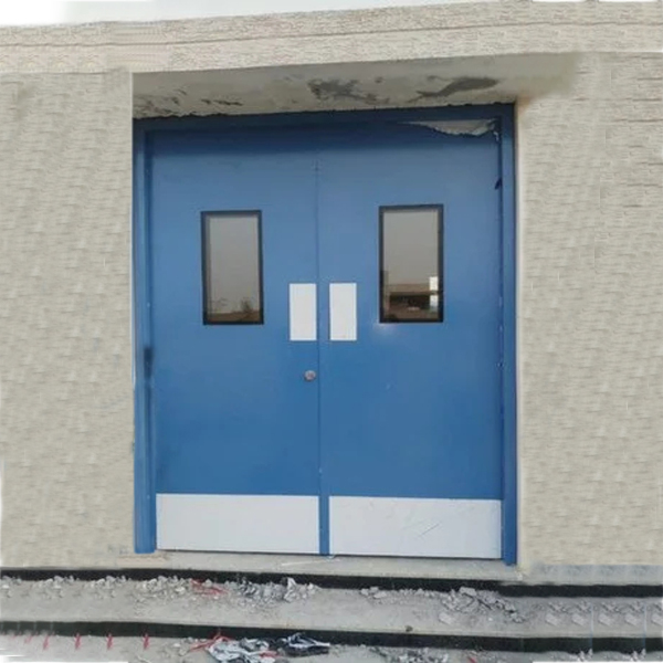 Mild Steel Entrance Door